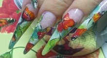Мастер-класс "Маки". Форма Стилет.
